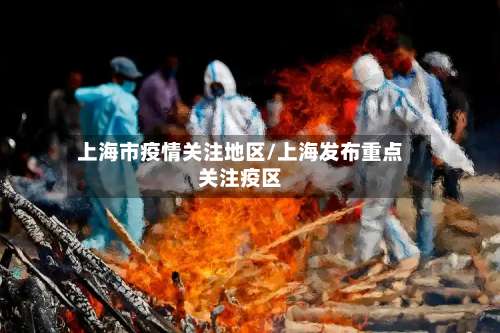 上海市疫情关注地区/上海发布重点关注疫区-第3张图片