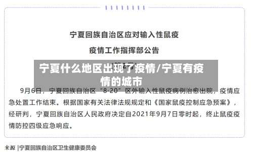 宁夏什么地区出现了疫情/宁夏有疫情的城市-第3张图片