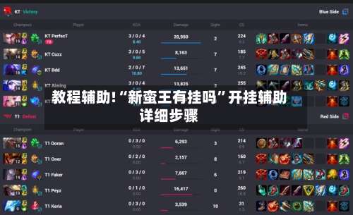 教程辅助!“新蛮王有挂吗”开挂辅助详细步骤-第2张图片
