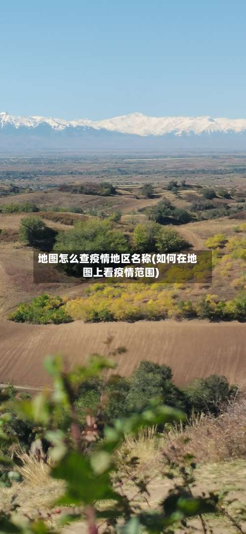 地图怎么查疫情地区名称(如何在地图上看疫情范围)-第3张图片