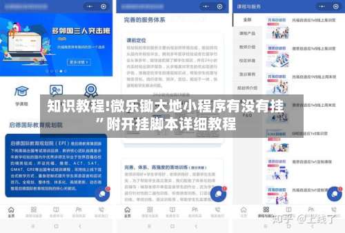 知识教程!微乐锄大地小程序有没有挂”附开挂脚本详细教程-第1张图片