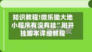 知识教程!微乐锄大地小程序有没有挂	”附开挂脚本详细教程-第2张图片