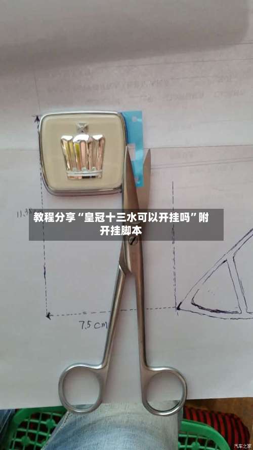 教程分享“皇冠十三水可以开挂吗”附开挂脚本-第2张图片