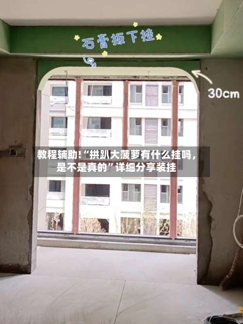 教程辅助!“拱趴大菠萝有什么挂吗	，是不是真的”详细分享装挂-第2张图片