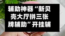 辅助神器“新贝壳大厅拼三张牌辅助	”开挂辅助详细步骤-第2张图片