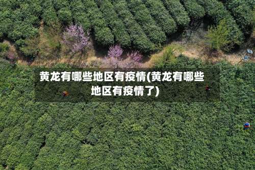 黄龙有哪些地区有疫情(黄龙有哪些地区有疫情了)-第1张图片