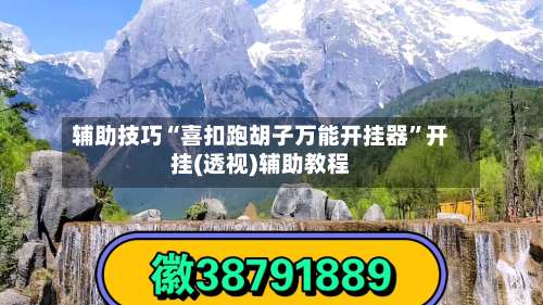 辅助技巧“喜扣跑胡子万能开挂器”开挂(透视)辅助教程-第1张图片