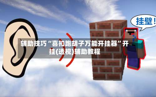 辅助技巧“喜扣跑胡子万能开挂器”开挂(透视)辅助教程-第3张图片