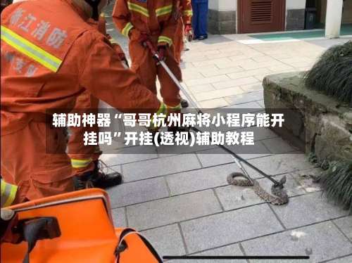 辅助神器“哥哥杭州麻将小程序能开挂吗”开挂(透视)辅助教程-第3张图片