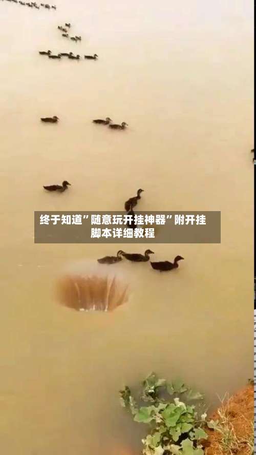 终于知道”随意玩开挂神器”附开挂脚本详细教程-第2张图片