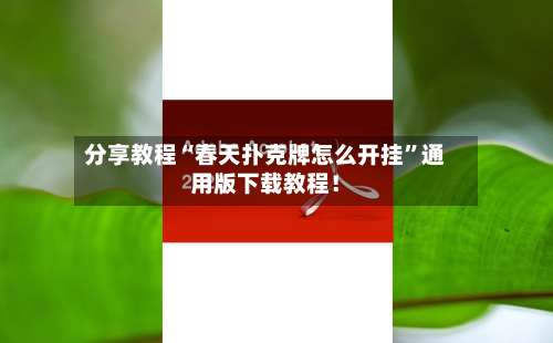 分享教程“春天扑克牌怎么开挂	”通用版下载教程！-第1张图片