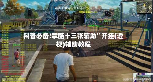 科普必备!掌酷十三张辅助”开挂(透视)辅助教程-第1张图片
