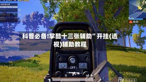 科普必备!掌酷十三张辅助	”开挂(透视)辅助教程-第2张图片