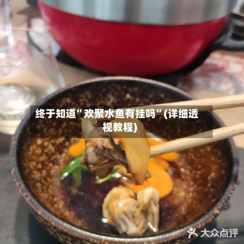 终于知道”欢聚水鱼有挂吗	”(详细透视教程)-第3张图片