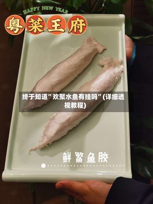 终于知道”欢聚水鱼有挂吗	”(详细透视教程)-第1张图片