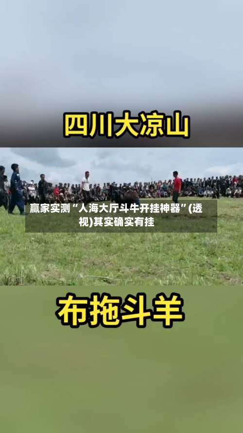 赢家实测“人海大厅斗牛开挂神器	”(透视)其实确实有挂-第2张图片