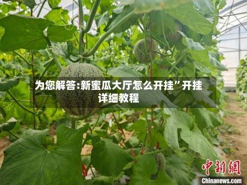 为您解答:新蜜瓜大厅怎么开挂”开挂详细教程-第1张图片