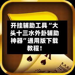 开挂辅助工具“大头十三水外卦辅助神器”通用版下载教程！-第2张图片