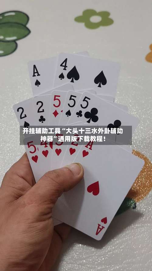 开挂辅助工具“大头十三水外卦辅助神器	”通用版下载教程！-第1张图片