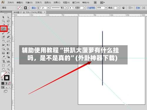 辅助使用教程“拱趴大菠萝有什么挂吗，是不是真的”(外卦神器下载)-第1张图片