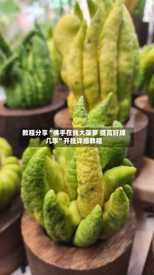 教程分享“佛手在线大菠萝 提高好牌几率	”开挂详细教程-第1张图片