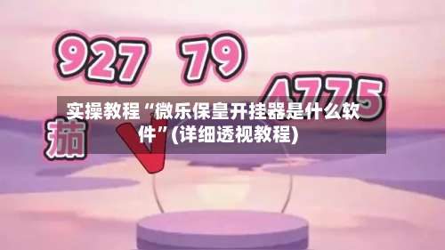 实操教程“微乐保皇开挂器是什么软件”(详细透视教程)-第1张图片